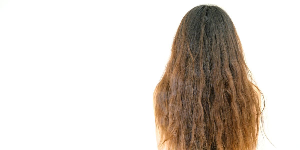 How to Combat Dry Hair
