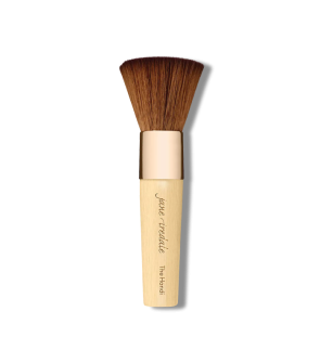 The Handi Brush