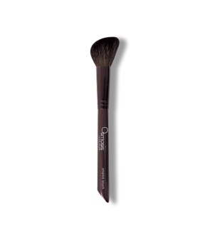 Angled Blush Brush