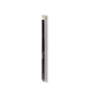 Blender Brush